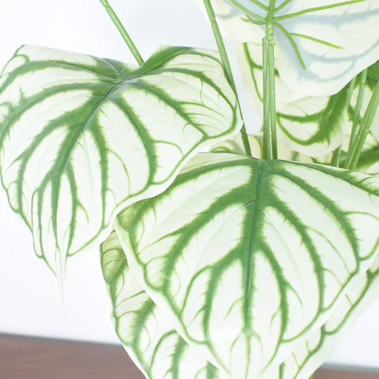 Planta artificiala, fara ghiveci, inaltime 60cm, Naimeed D4995, Verde