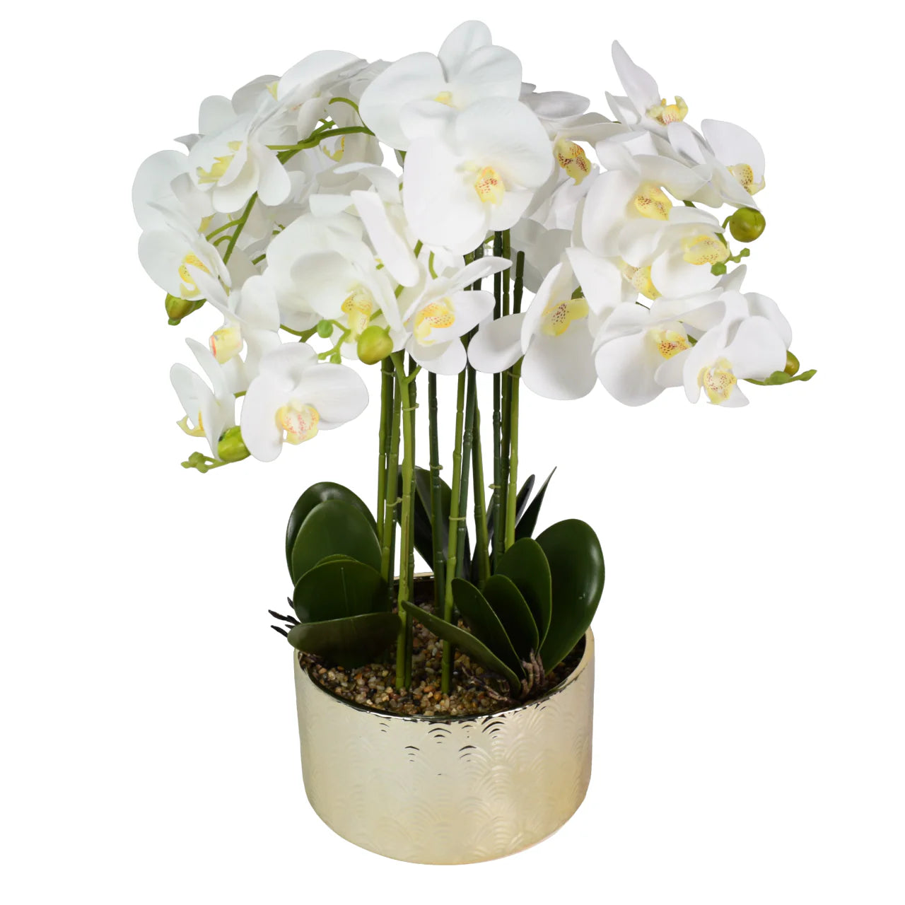 Orhidee cu aspect natural in ghiveci ceramic, 60 cm, Naimeed D5568, Alb