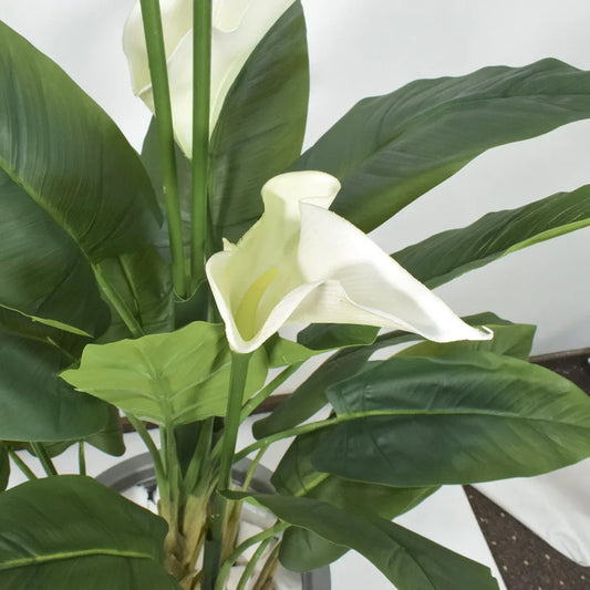 Floare artificiala, Calla fara ghiveci, Naimeed D5600, 113x78 cm, Alb