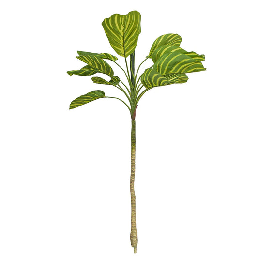 Planta artificiala, Dracaena Marginata fara ghiveci, Naimeed D5601, 115x51 cm, Verde/Galben