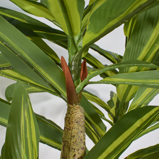 Planta artificiala, Dracaena fara ghiveci, Naimeed D5602, 120x85 cm, Verde/Galben