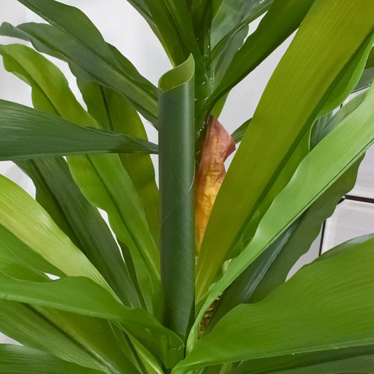 Copac  artificial, Dracaena fara ghiveci, Naimeed D5612, 166x100 cm, Verde