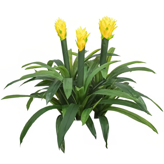 Floare artificiala, Guzmania fara ghiveci, Naimeed D5627, 70x75 cm, Galben