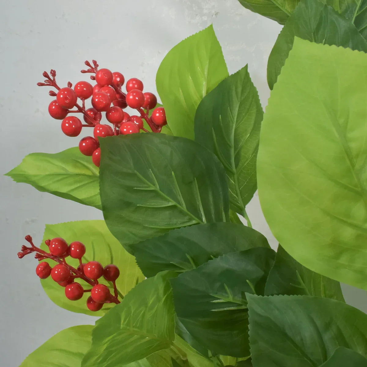 Crenguta Merisoare fara ghiveci, Naimeed D5629, 90x57 cm, Rosu