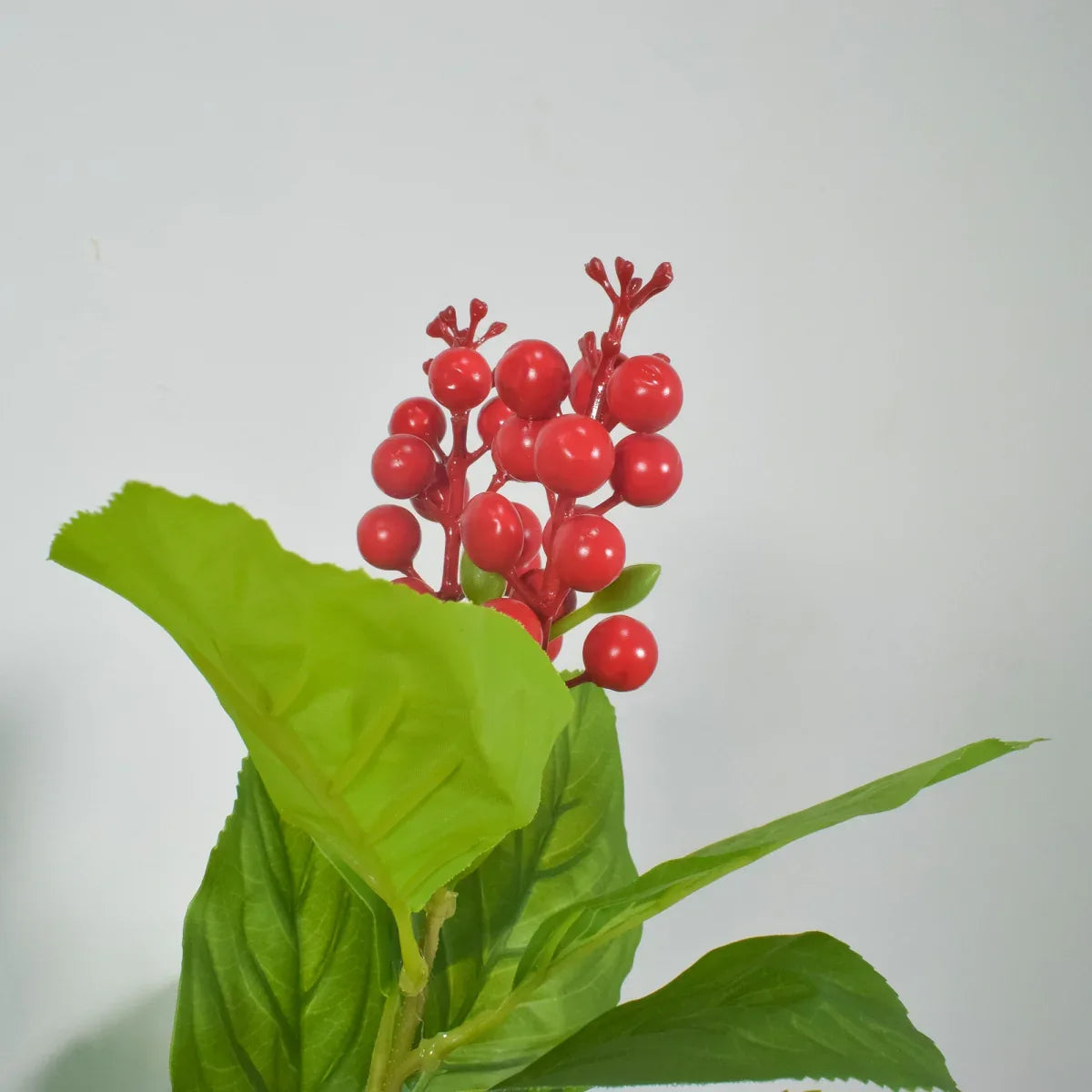 Crenguta Merisoare fara ghiveci, Naimeed D5629, 90x57 cm, Rosu