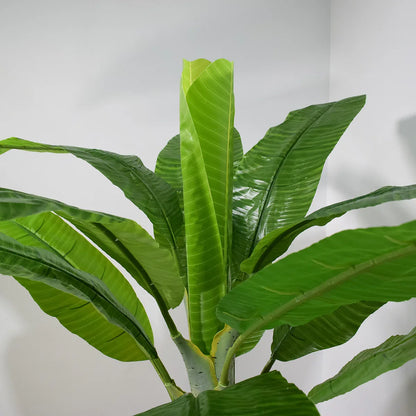 Copac artificial, Banan Musa fara ghiveci, Naimeed D5648, 233x95 cm, Verde