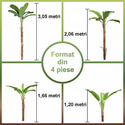 Copac artificial, Banan Musa fara ghiveci, Naimeed D5649, 305x120 cm, Verde