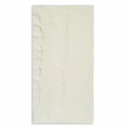 Set 10 x Panou Decorativ 3D, Naimeed D5739, ultrausor, design elegant, PU, 120 x 60 x 3 cm, Crem deschis