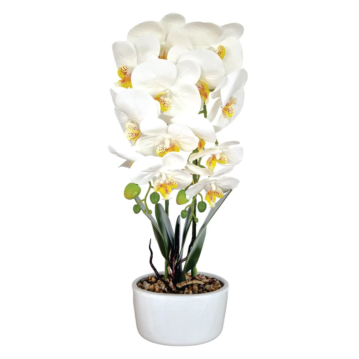 Orhidee cu aspect natural in ghiveci ceramic, 50 cm, Naimeed D5819, Alb