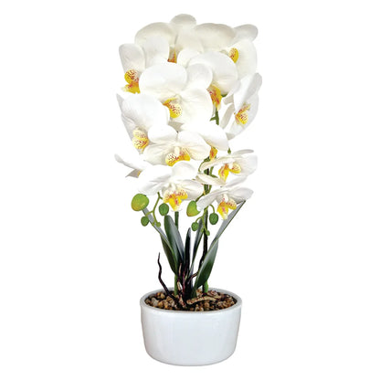 Orhidee cu aspect natural in ghiveci ceramic, 50 cm, Naimeed D5819, Alb