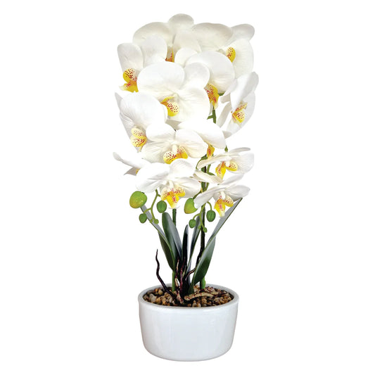 Orhidee cu aspect natural in ghiveci ceramic, 50 cm, Naimeed D5819, Alb