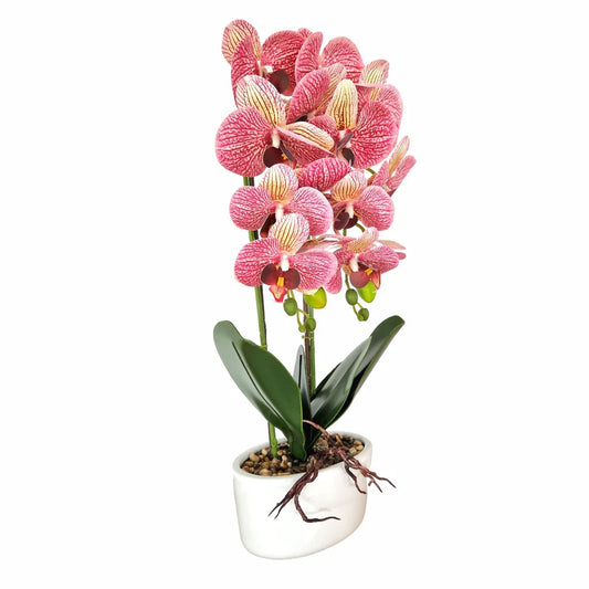 Orhidee cu aspect natural in ghiveci ceramic, 50 cm, Naimeed D5819, Mov