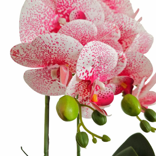 Orhidee cu aspect natural in ghiveci ceramic, 50 cm, Naimeed D5819, Roz