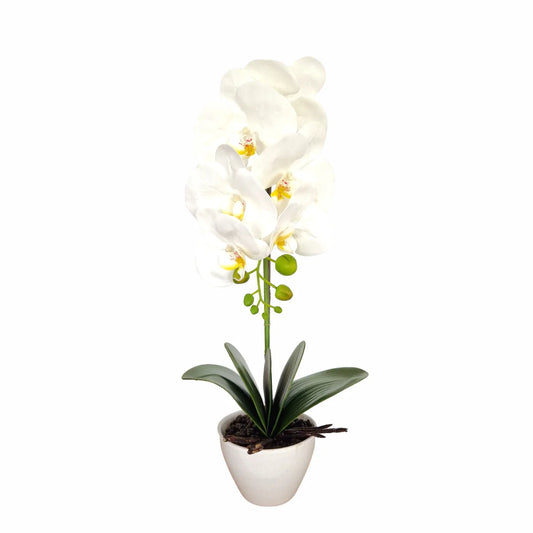 Orhidee cu aspect natural in ghiveci ceramic, 46 cm, Naimeed D5820, Alb