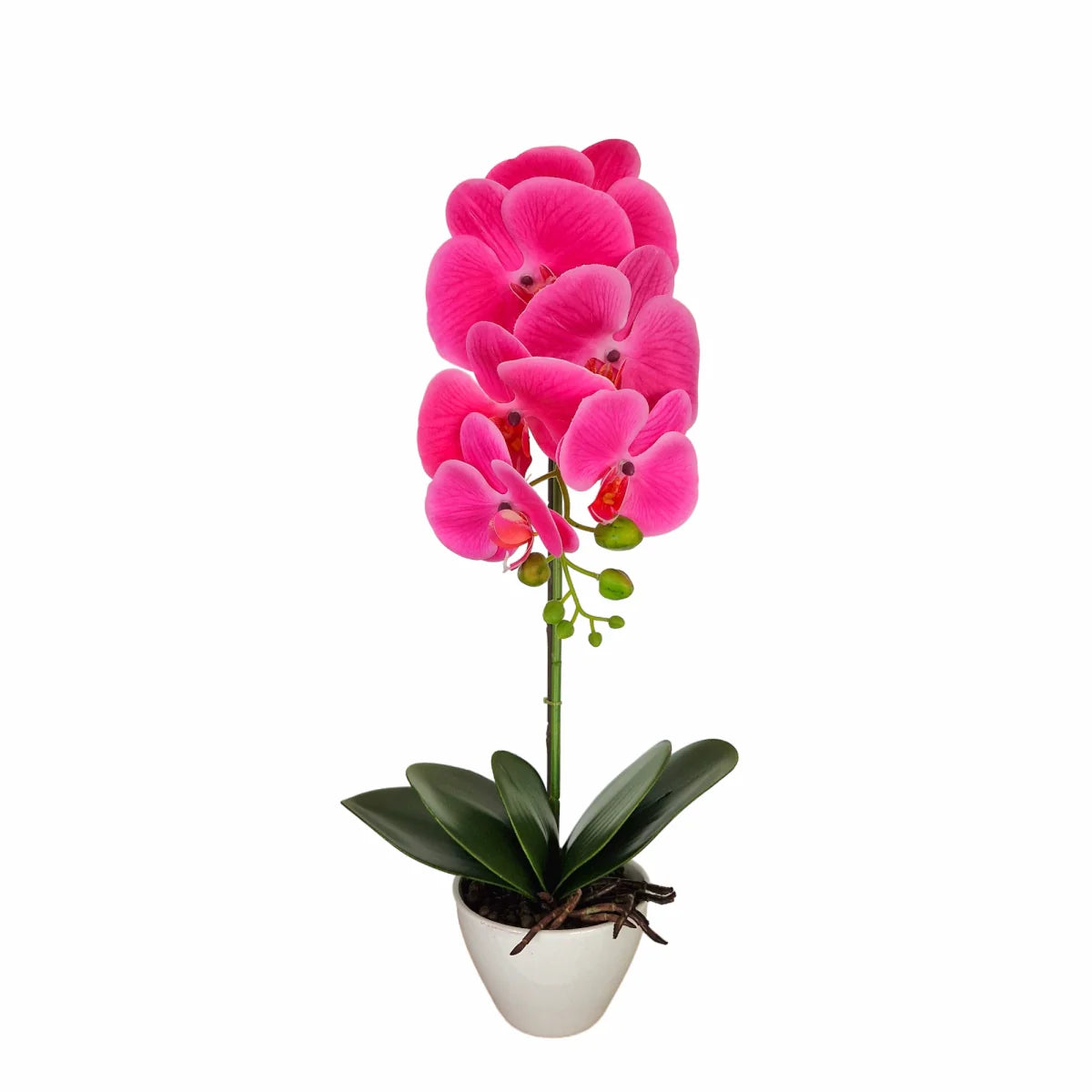 Orhidee cu aspect natural in ghiveci ceramic, 46 cm, Naimeed D5820, Mov