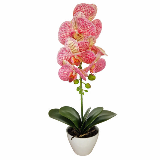 Orhidee cu aspect natural in ghiveci ceramic, 46 cm, Naimeed D5820, Roz