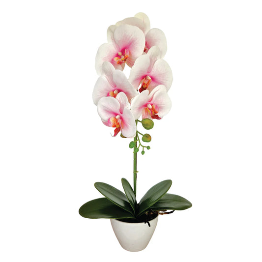 Orhidee cu aspect natural in ghiveci ceramic, 46 cm, Naimeed D5820, Alb Roziu