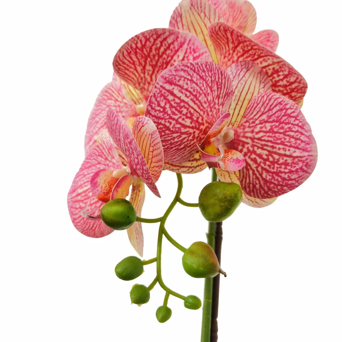 Orhidee cu aspect natural in ghiveci ceramic, 46 cm, Naimeed D5820, Roz