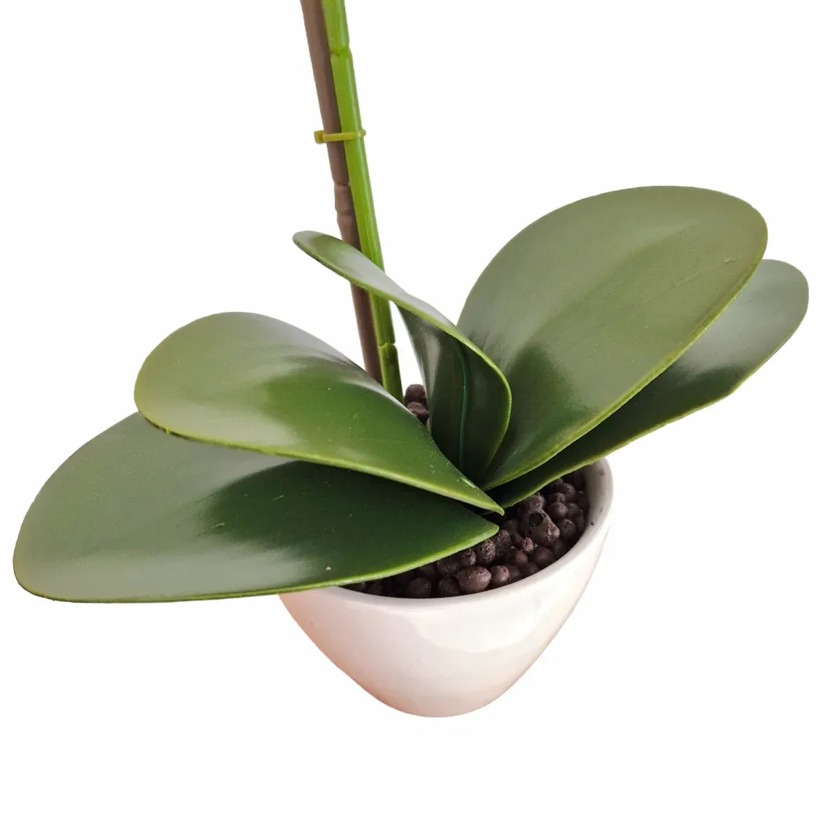 Orhidee cu aspect natural in ghiveci ceramic, 46 cm, Naimeed D5820, Mov