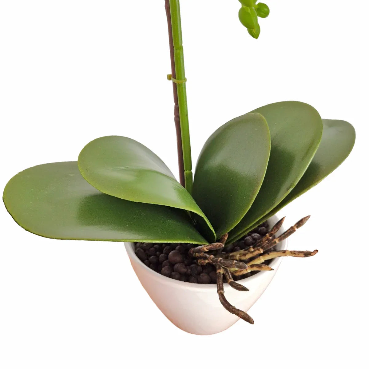 Orhidee cu aspect natural in ghiveci ceramic, 46 cm, Naimeed D5820, Roz