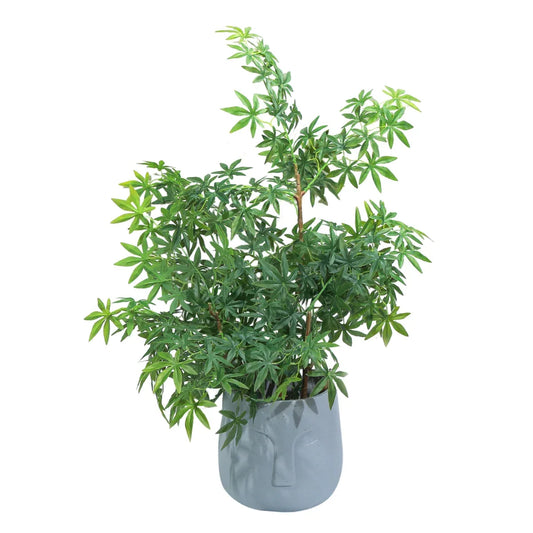 Ghiveci ecologic, Eco-friendly, Naimeed D6354, Mare, din materiale minerale, Gri, 38x34x34cm