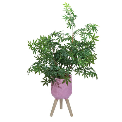 Ghiveci ecologic, Eco-friendly, Naimeed D6395, Mic, din materiale minerale, Roz, 25x21x21cm