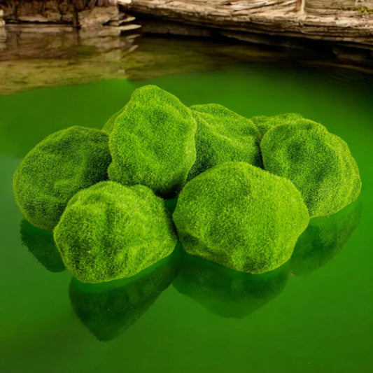 Set 8 x Pietre decorative din polistiren, aspect natural, usor de curatat, Naimeed D6527