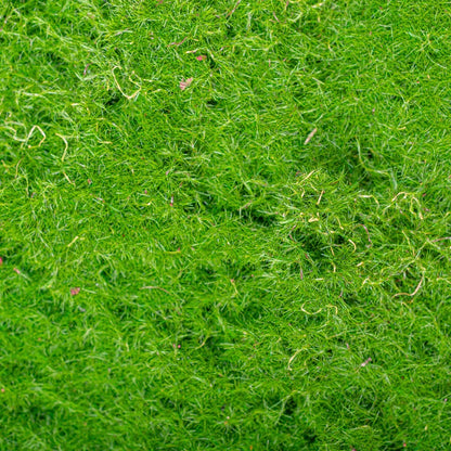 Covor muschi artificial de padure, Naimeed D6538, pentru decorare interioara sau exterioara, Verde, 1000x1000x20mm