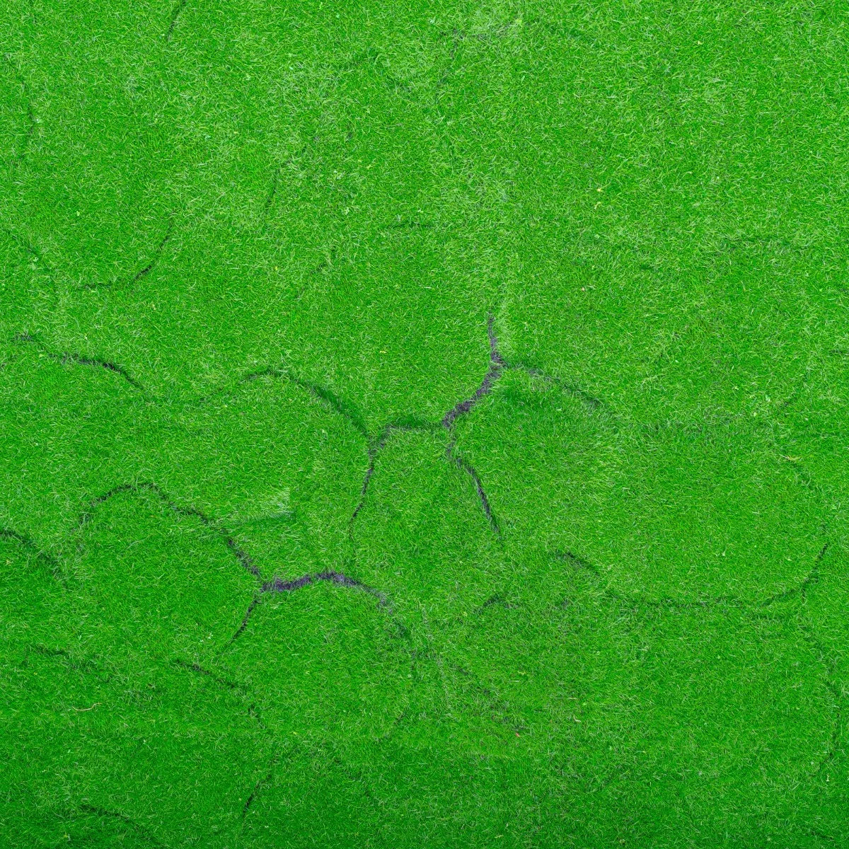 Covor muschi artificial de padure, Naimeed D6540, pentru decorare interioara sau exterioara, Verde, 1000x1000x20mm