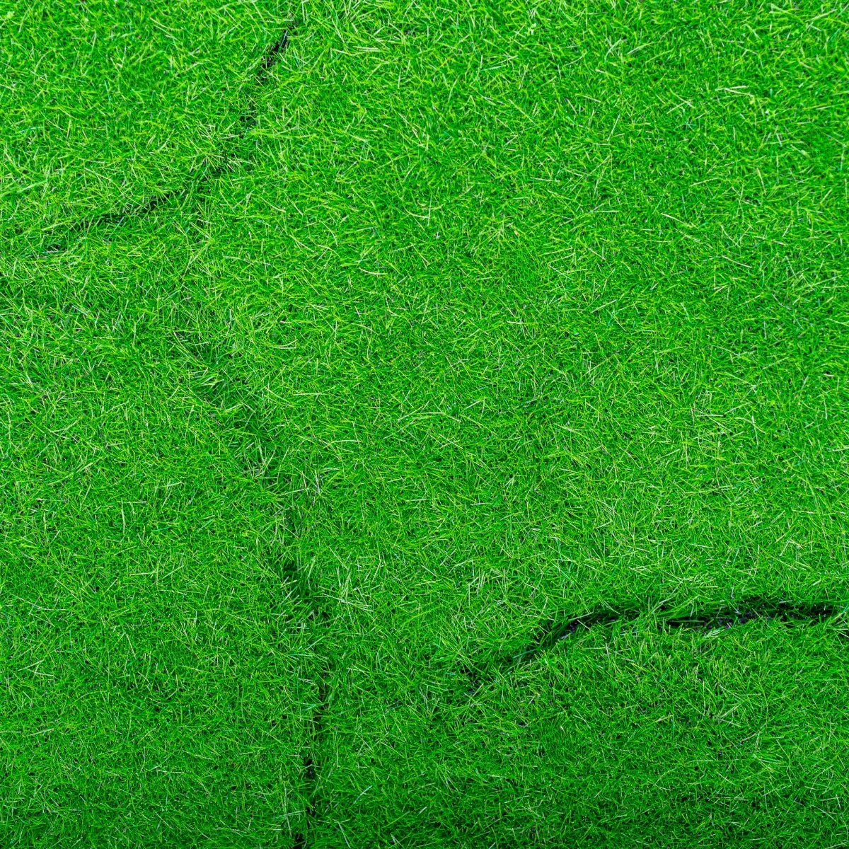 Covor muschi artificial de padure, Naimeed D6540, pentru decorare interioara sau exterioara, Verde, 1000x1000x20mm