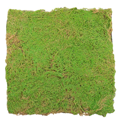 Covor muschi artificial de padure, Naimeed D6541, pentru decorare interioara sau exterioara, Verde, 1000x1000x20mm
