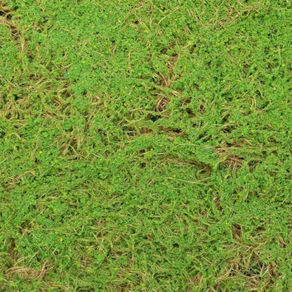 Covor muschi artificial de padure, Naimeed D6541, pentru decorare interioara sau exterioara, Verde, 1000x1000x20mm