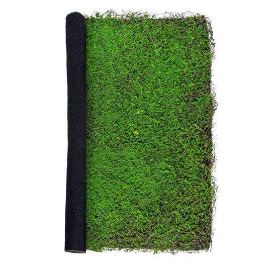 Covor muschi artificial de padure, Naimeed D6551, pentru decorare interioara sau exterioara, Verde, 1000x1000x30mm