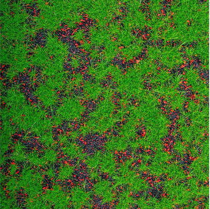 Covor muschi artificial de padure, Naimeed D6553, pentru decorare interioara sau exterioara, Verde, 1000x1000x20mm