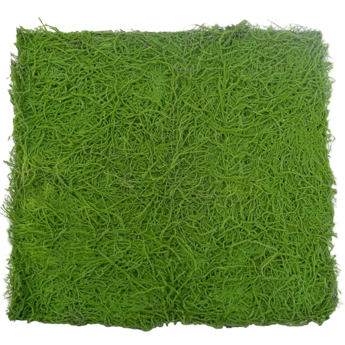 Covor muschi artificial de padure, Naimeed D6555, pentru decorare interioara sau exterioara, Verde, 1000x1000x30mm