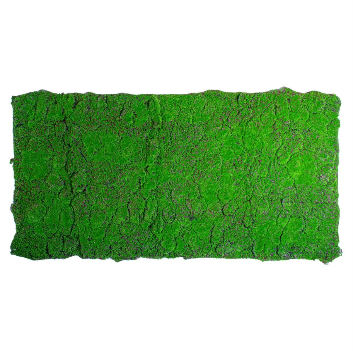 Covor muschi artificial de padure, Naimeed D6556, pentru decorare interioara sau exterioara, Verde, 1000x2000x30mm