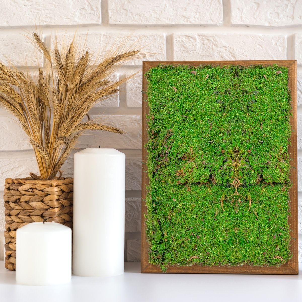 Muschi Premium naturali, stabilizati, Naimeed D6558, pentru decoratiuni hand made, biodegradabili