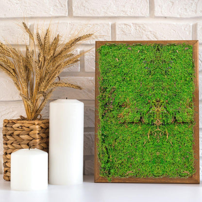Muschi Premium naturali, stabilizati, Naimeed D6558, pentru decoratiuni hand made, biodegradabili