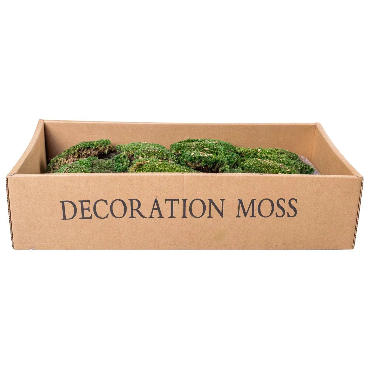 Muschi Premium naturali, stabilizati, Naimeed D6559, pentru decoratiuni hand made, biodegradabili