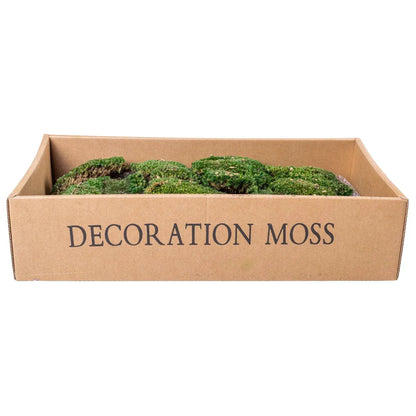 Muschi Premium naturali, stabilizati, Naimeed D6559, pentru decoratiuni hand made, biodegradabili