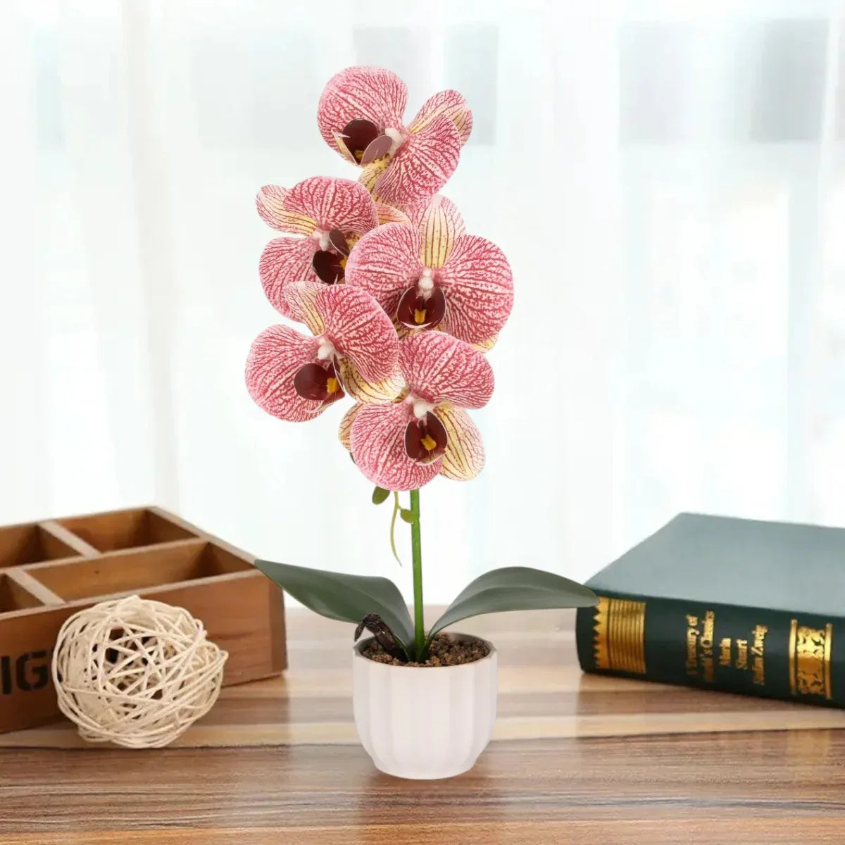 Orhidee cu aspect natural in ghiveci ceramic, 42 cm, Naimeed D6879, Roz