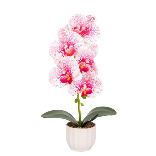 Orhidee cu aspect natural in ghiveci ceramic, 42 cm, Naimeed D6882, Alb-roz