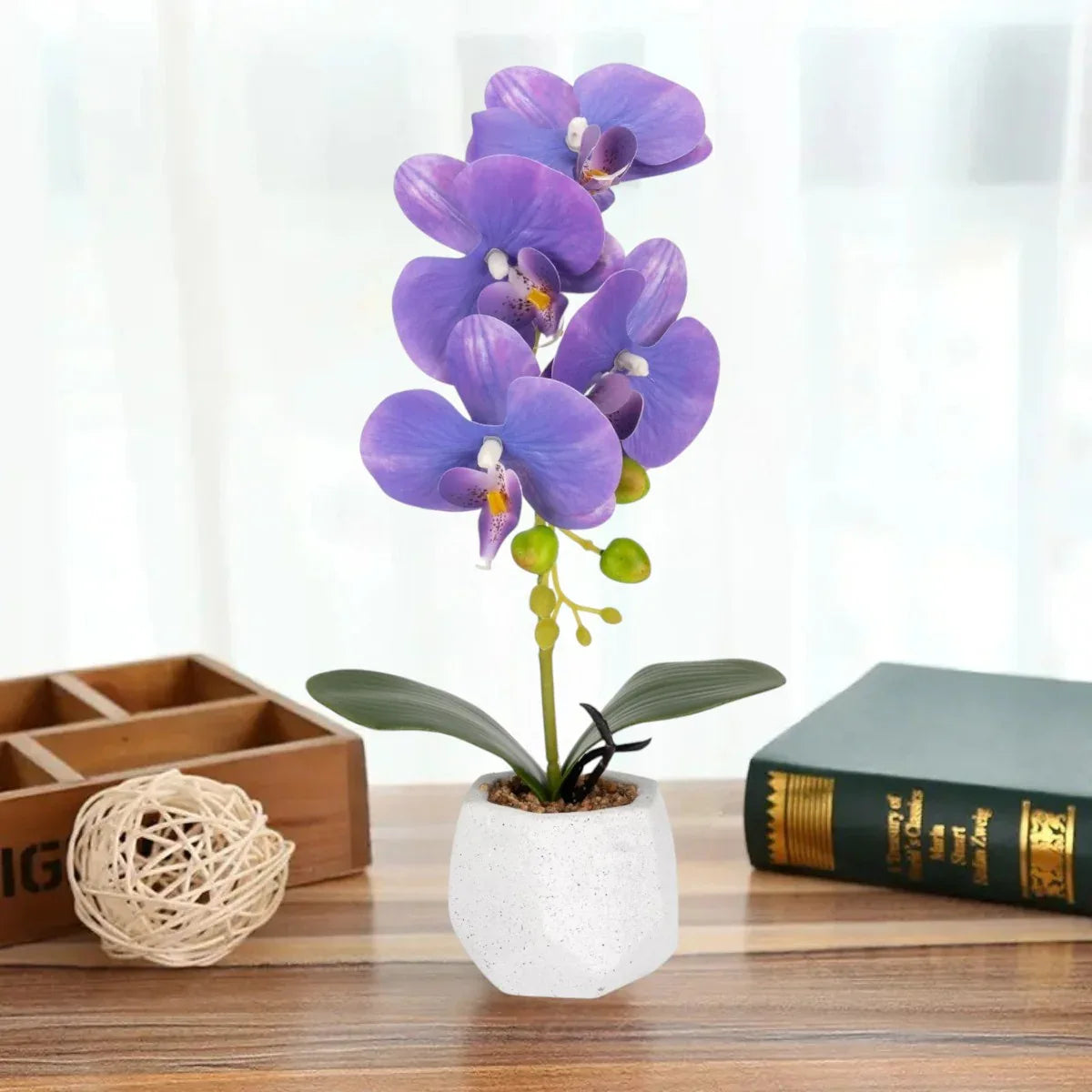 Orhidee cu aspect natural in ghiveci ceramic, 41 cm, Naimeed D6884, Mov