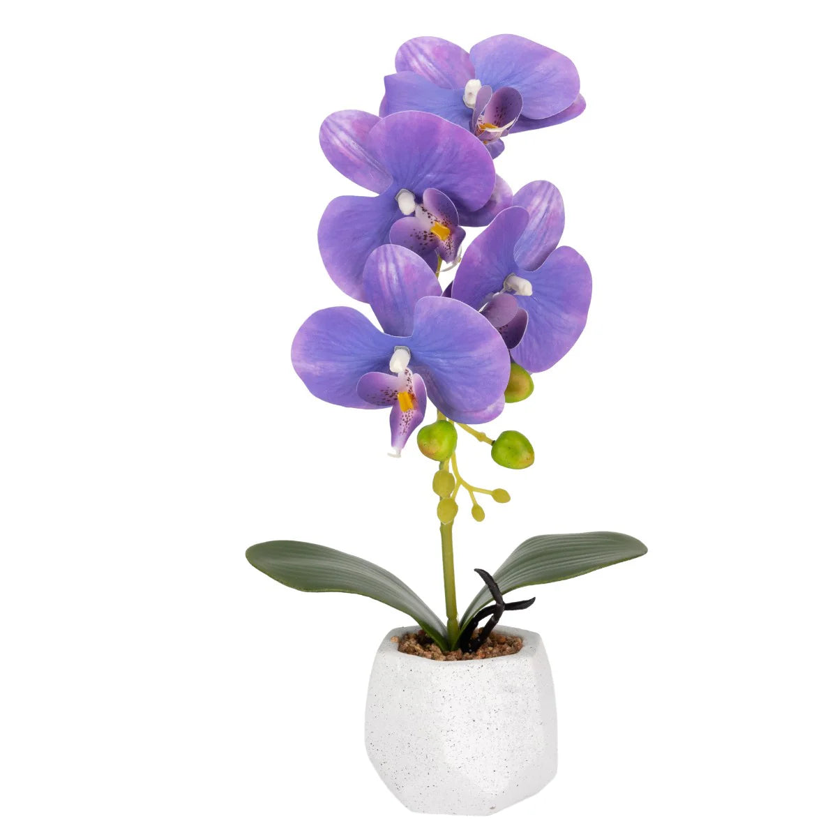 Orhidee cu aspect natural in ghiveci ceramic, 41 cm, Naimeed D6884, Mov