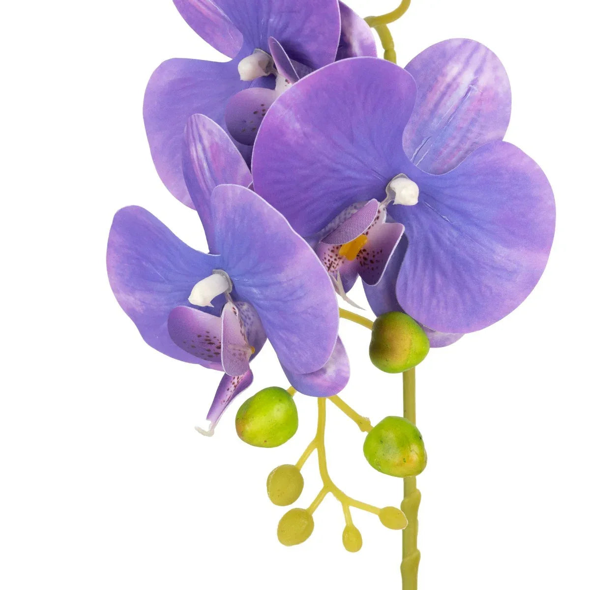 Orhidee cu aspect natural in ghiveci ceramic, 41 cm, Naimeed D6884, Mov