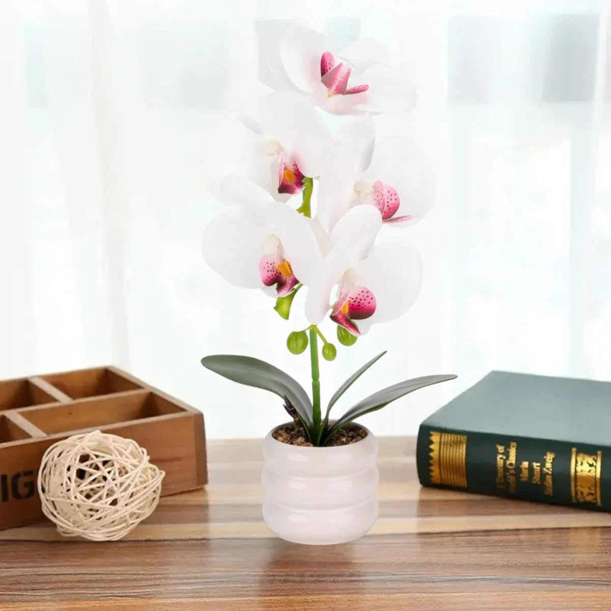 Orhidee cu aspect natural in ghiveci ceramic, 40 cm, Naimeed D6887, Alb