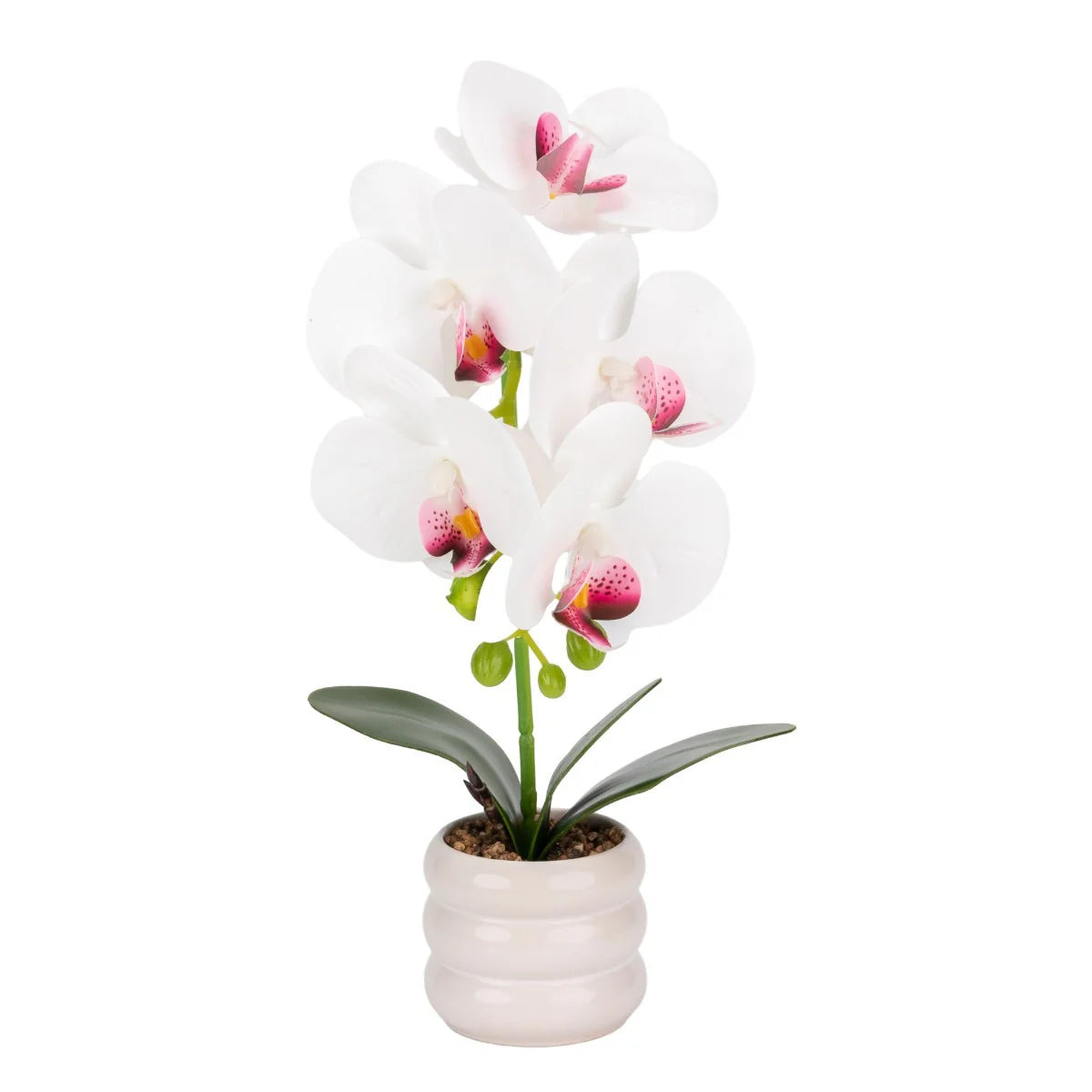 Orhidee cu aspect natural in ghiveci ceramic, 40 cm, Naimeed D6887, Alb