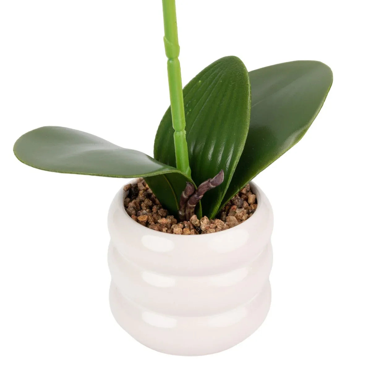 Orhidee cu aspect natural in ghiveci ceramic, 40 cm, Naimeed D6887, Alb