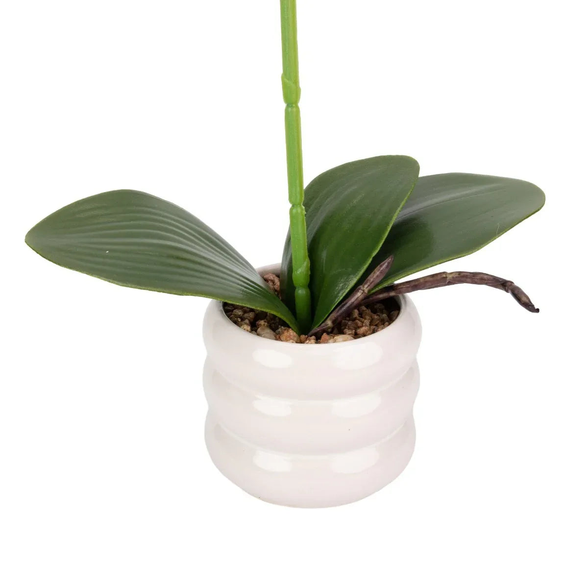 Orhidee cu aspect natural in ghiveci ceramic, 40 cm, Naimeed D6888, Alb-roz