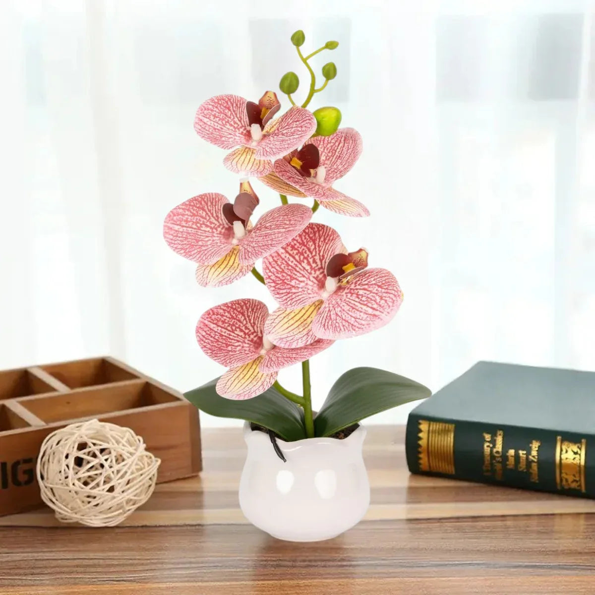 Orhidee cu aspect natural in ghiveci ceramic, 49 cm, Naimeed D6891, Roz